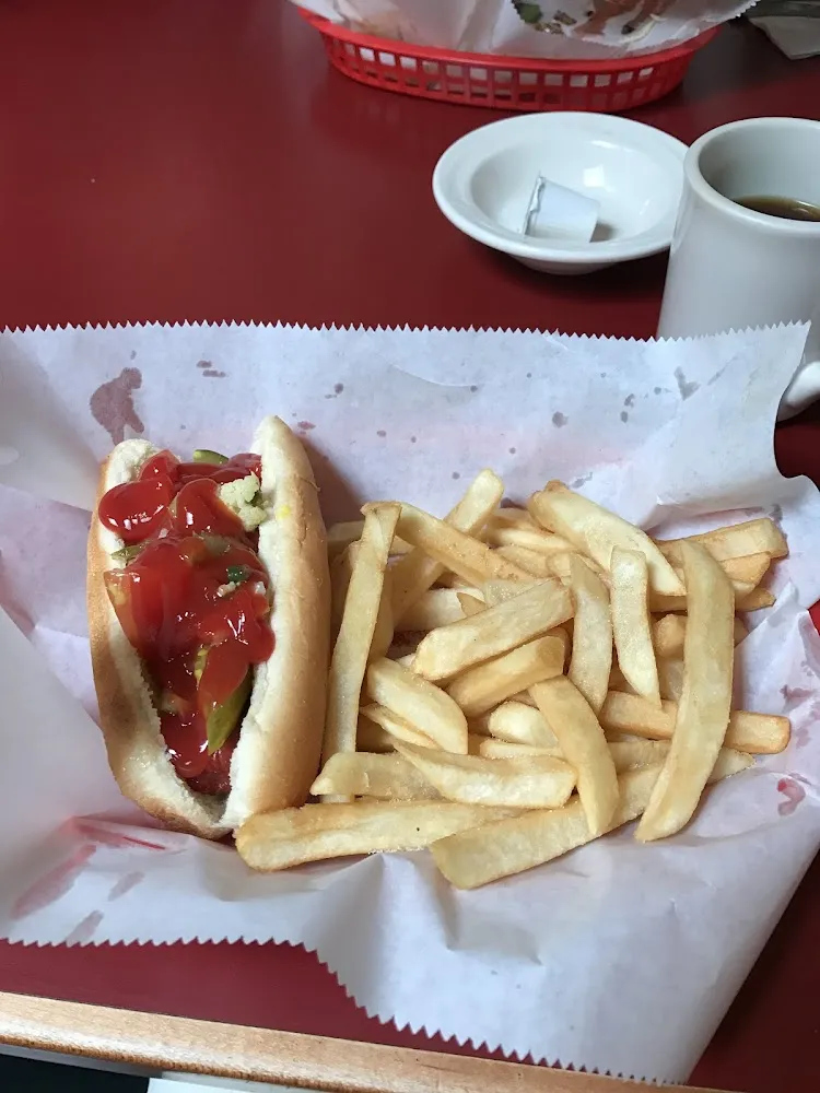 2 Chicago Style Hot Dogs and Fries